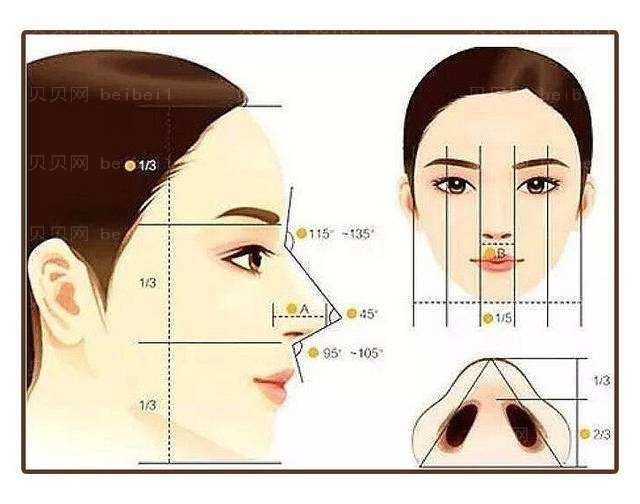 鼻综合整形大概要多少钱