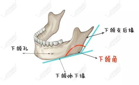 赵绛波下颌角手术顺带切除咬肌