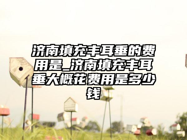 济南填充丰耳垂的费用是_济南填充丰耳垂大概花费用是多少钱