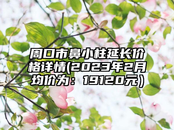 周口市鼻小柱延长价格详情(2023年2月均价为：19120元）