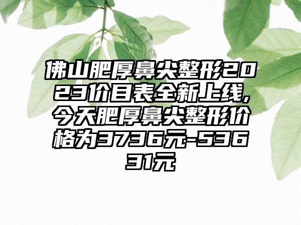 佛山肥厚鼻尖整形2023价目表全新上线,今天肥厚鼻尖整形价格为3736元-53631元