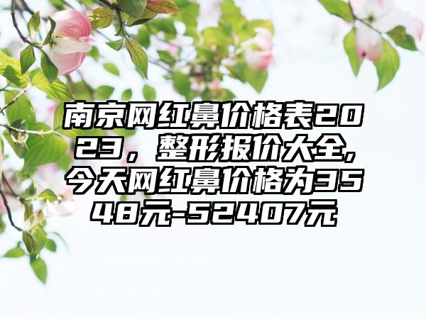 南京网红鼻价格表2023，整形报价大全,今天网红鼻价格为3548元-52407元