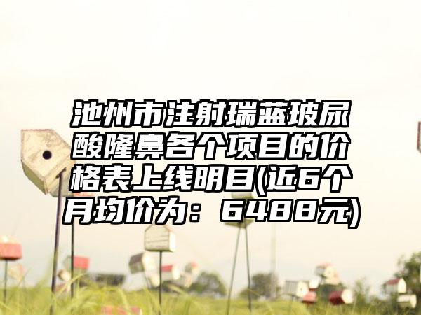 池州市注射瑞蓝玻尿酸隆鼻各个项目的价格表上线明目(近6个月均价为：6488元)