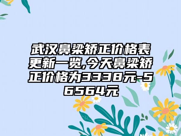 武汉鼻梁矫正价格表更新一览,今天鼻梁矫正价格为3338元-56564元