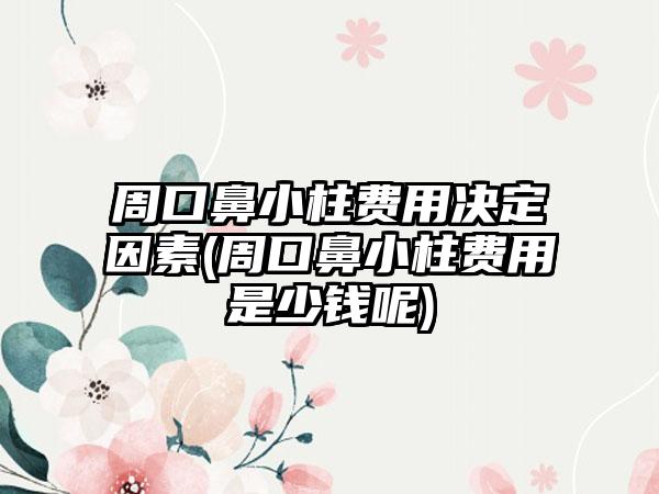 周口鼻小柱费用决定因素(周口鼻小柱费用是少钱呢)